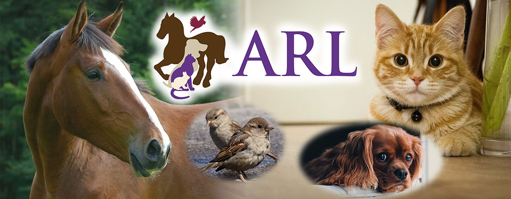 Animal Rescue League banner